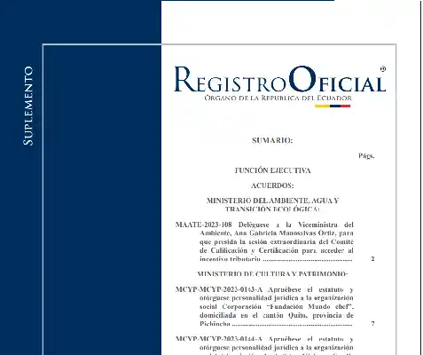 Foto de Publicación de Consulting